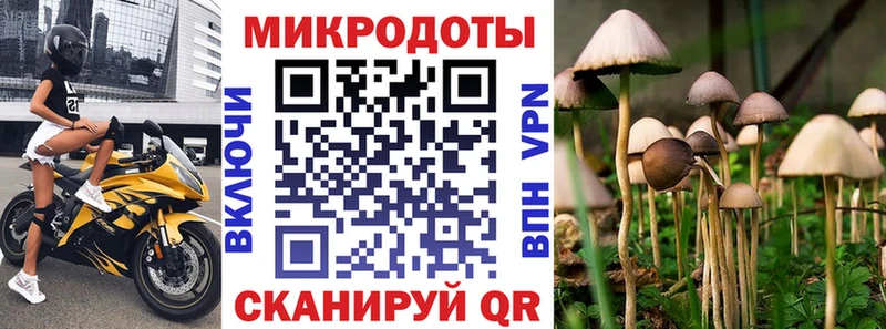 Галлюциногенные грибы Psilocybe  Хадыженск 